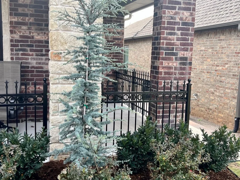 Edmond Iron Fence Company - Photo 7