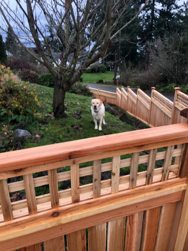 Bespoke Cedar Fence with Lattice by Cool Cat Fence - Photo 4