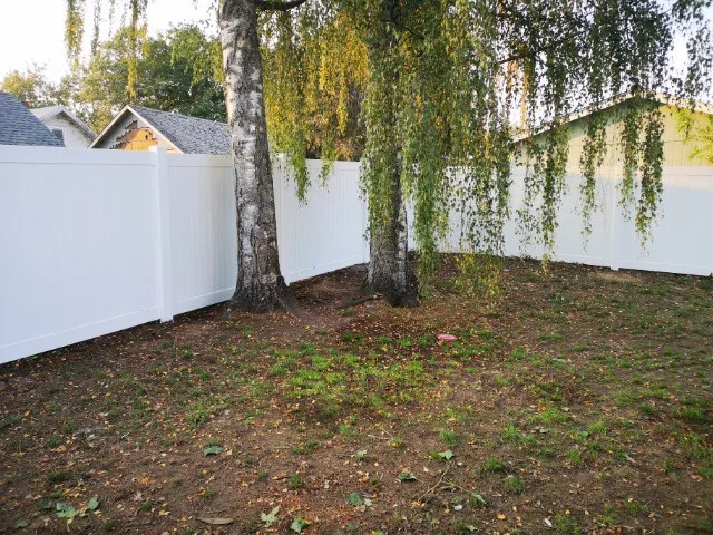 Cool Cat Fence - Photo 10