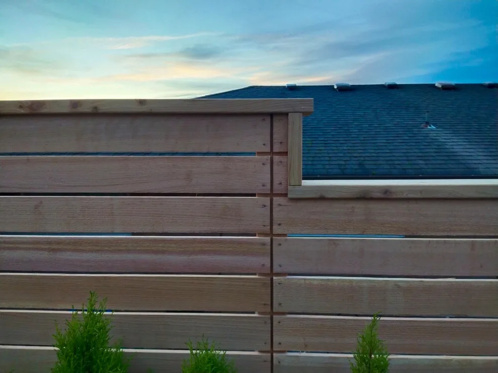 Cool Cat Fence - Photo 2