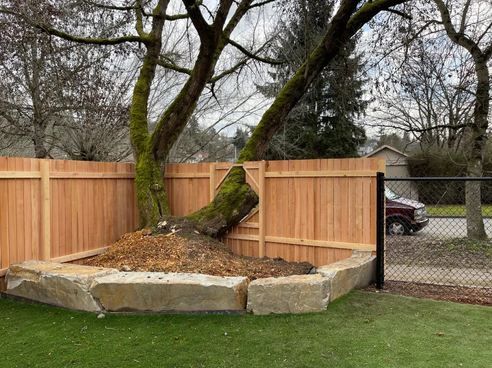 Contemporary Transparent Cedar Vertical Barrier by Cool Cat Fence - Photo 3