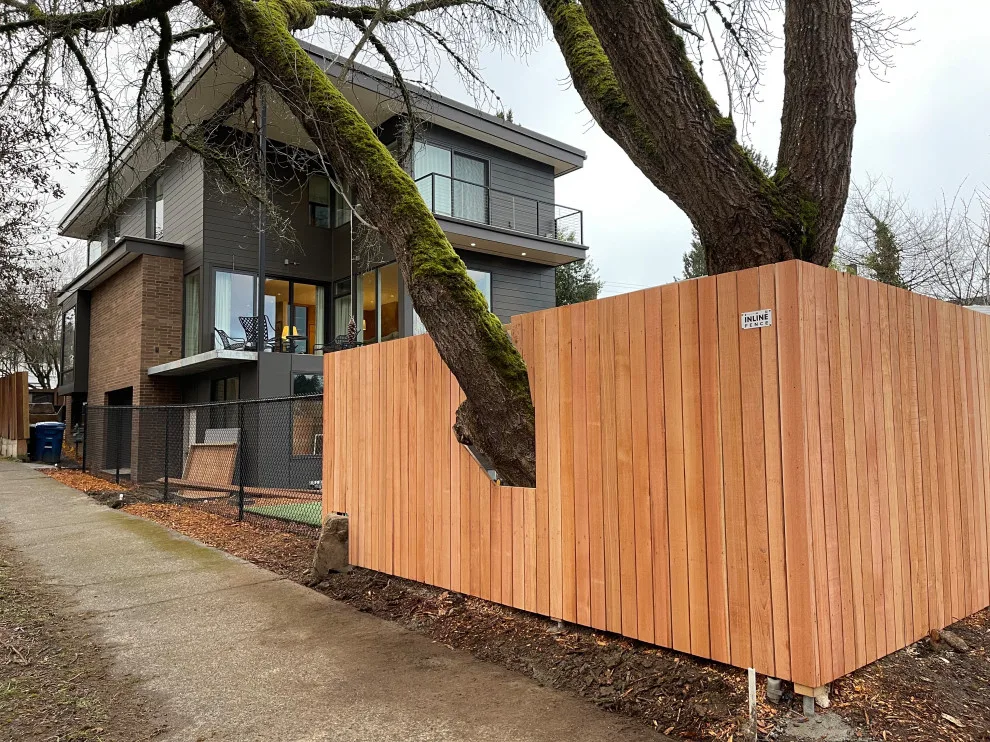 Contemporary Transparent Cedar Vertical Barrier by Cool Cat Fence - Photo 2