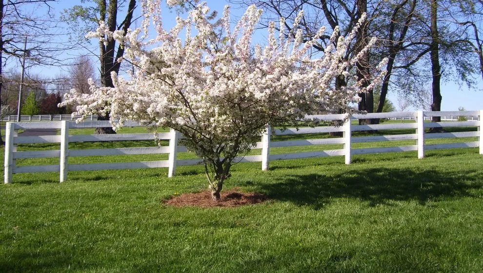 Timber Fencing by Raatz Fence Company - Photo 27
