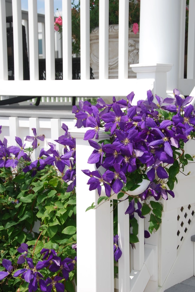 Landscape Design-Build Gallery by Bay Avenue Plant Company - Photo 4