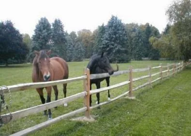 Two and Three Split Rail by Putnam County Fencing - Photo 3