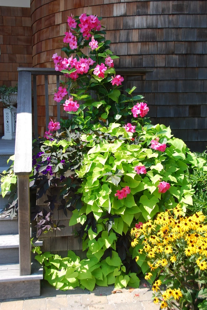 Landscape Design-Build Gallery by Bay Avenue Plant Company - Photo 19