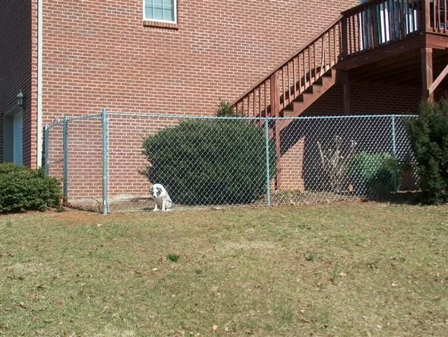 Fence Link Chain by Putnam County Fencing - Photo 24
