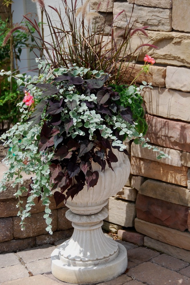 Landscape Design-Build Gallery by Bay Avenue Plant Company - Photo 6