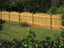 Scorpion Fence - Photo 6