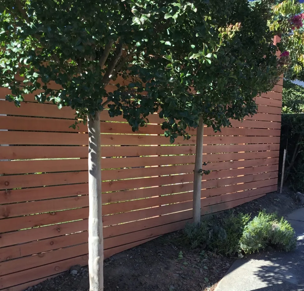 Beryl Lane Horizontal Barrier by Clough Construction - Photo 5