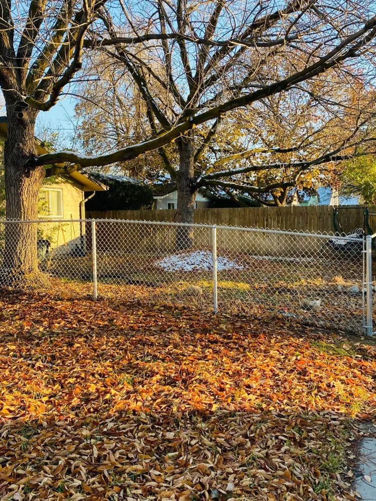 Types of Chain Link Fence by Top Rail Fence Boise - Photo 11