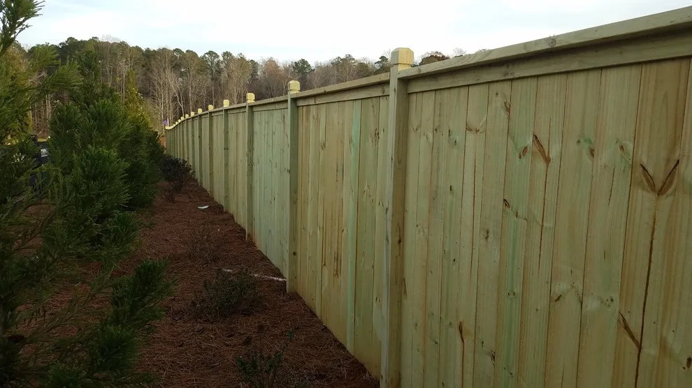 Limited Privacy by Peachtree Fence & Gates - Photo 13
