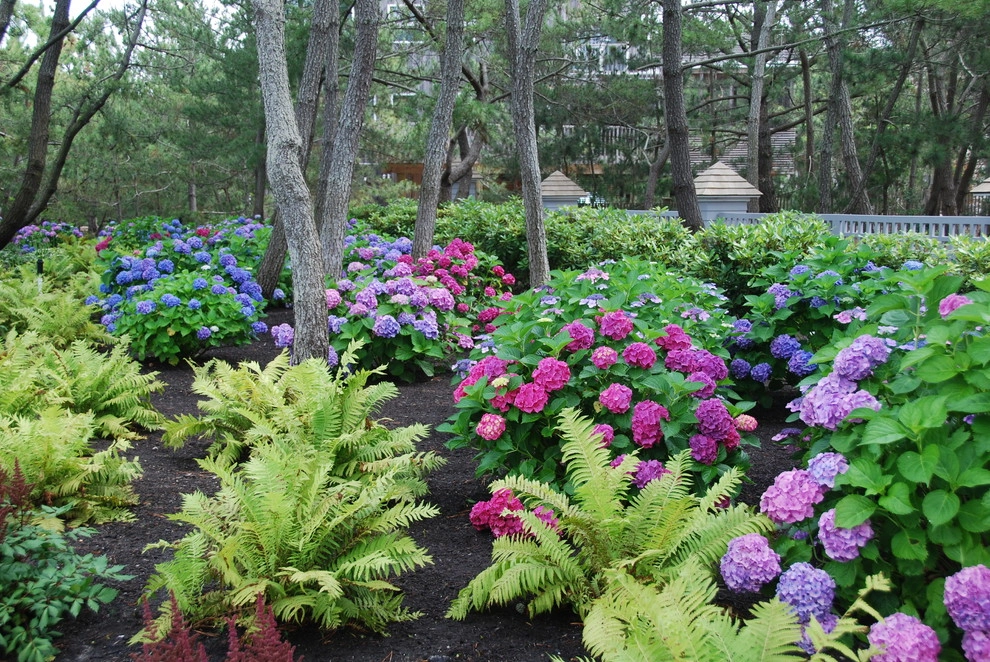Landscape Design-Build Gallery by Bay Avenue Plant Company - Photo 7