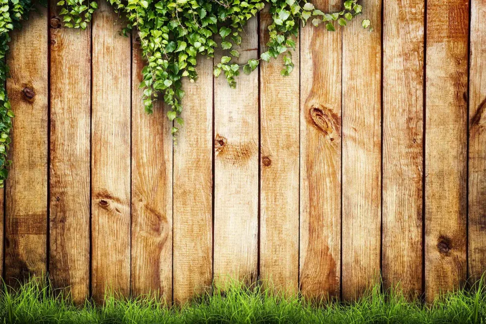 Cedar Fencing by Discount Fence - Photo 6
