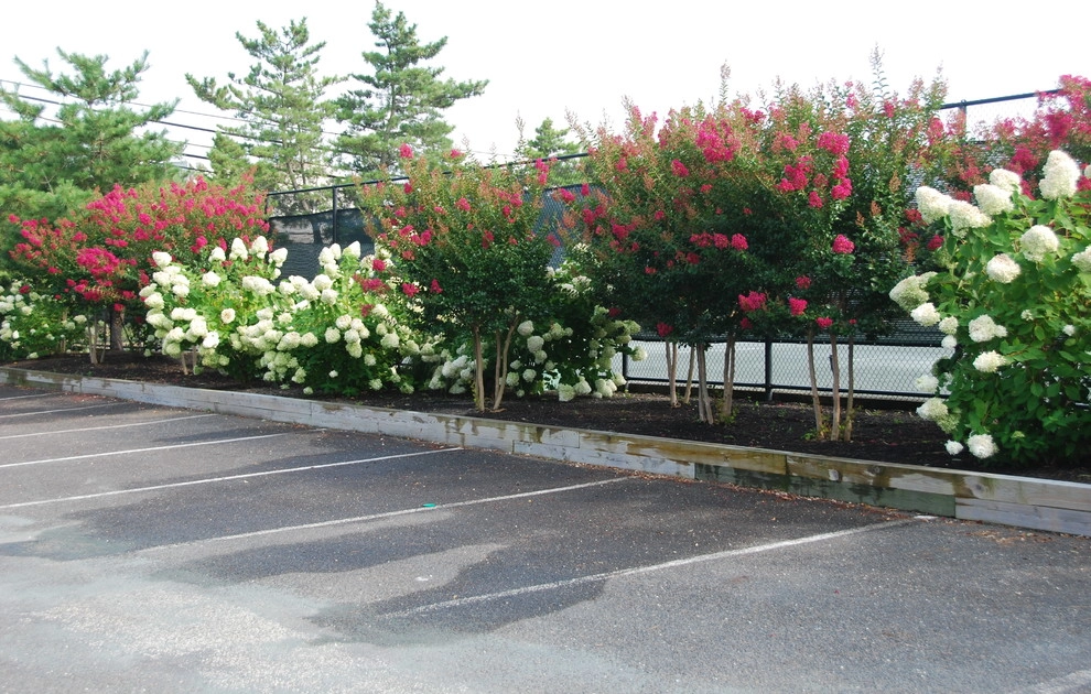Landscape Design-Build Gallery by Bay Avenue Plant Company - Photo 10