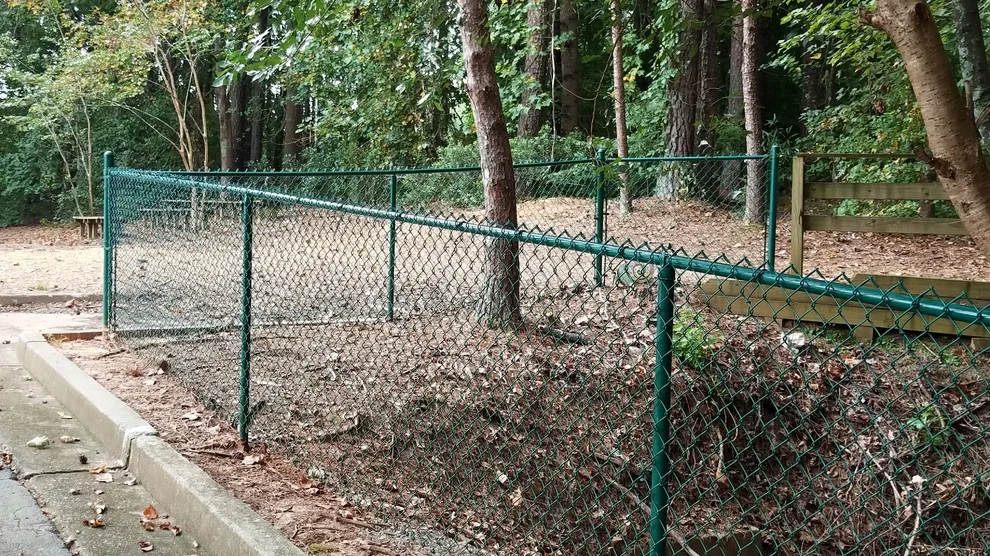 Linking Chains by Peachtree Fence & Gates - Photo 8