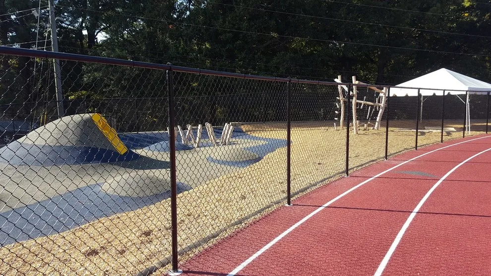 Linking Chains by Peachtree Fence & Gates - Photo 7