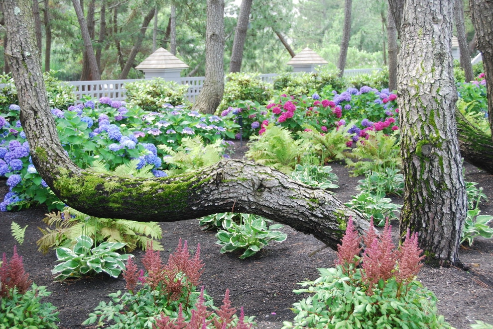 Landscape Design-Build Gallery by Bay Avenue Plant Company - Photo 11