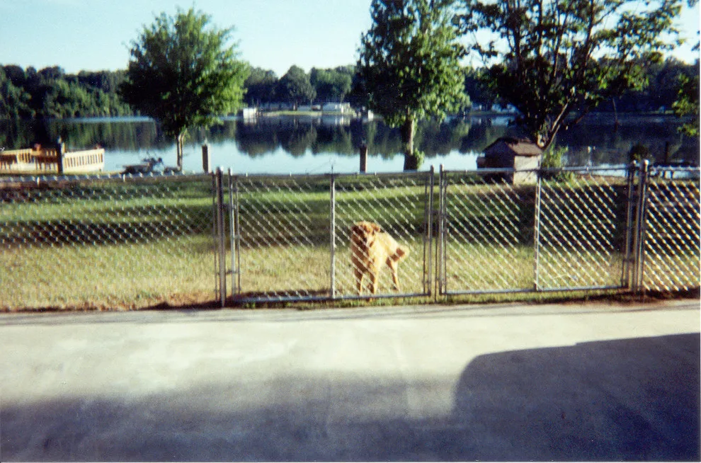 Fence Connections by Central Fence CO INC - Photo 13