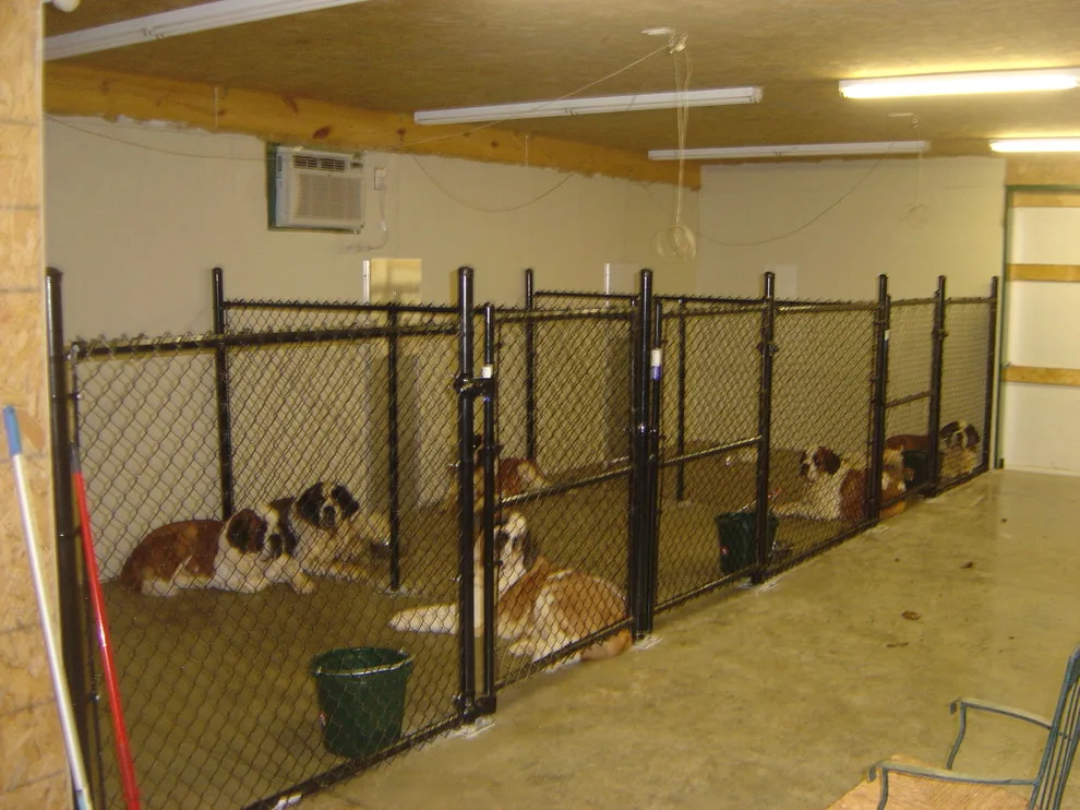 Fence Link Chain by Mid Tenn Fencing - Photo 17