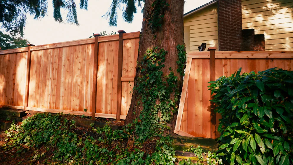 Bespoke Cedar Enclosure for Tree by Cool Cat Fence - Photo 3