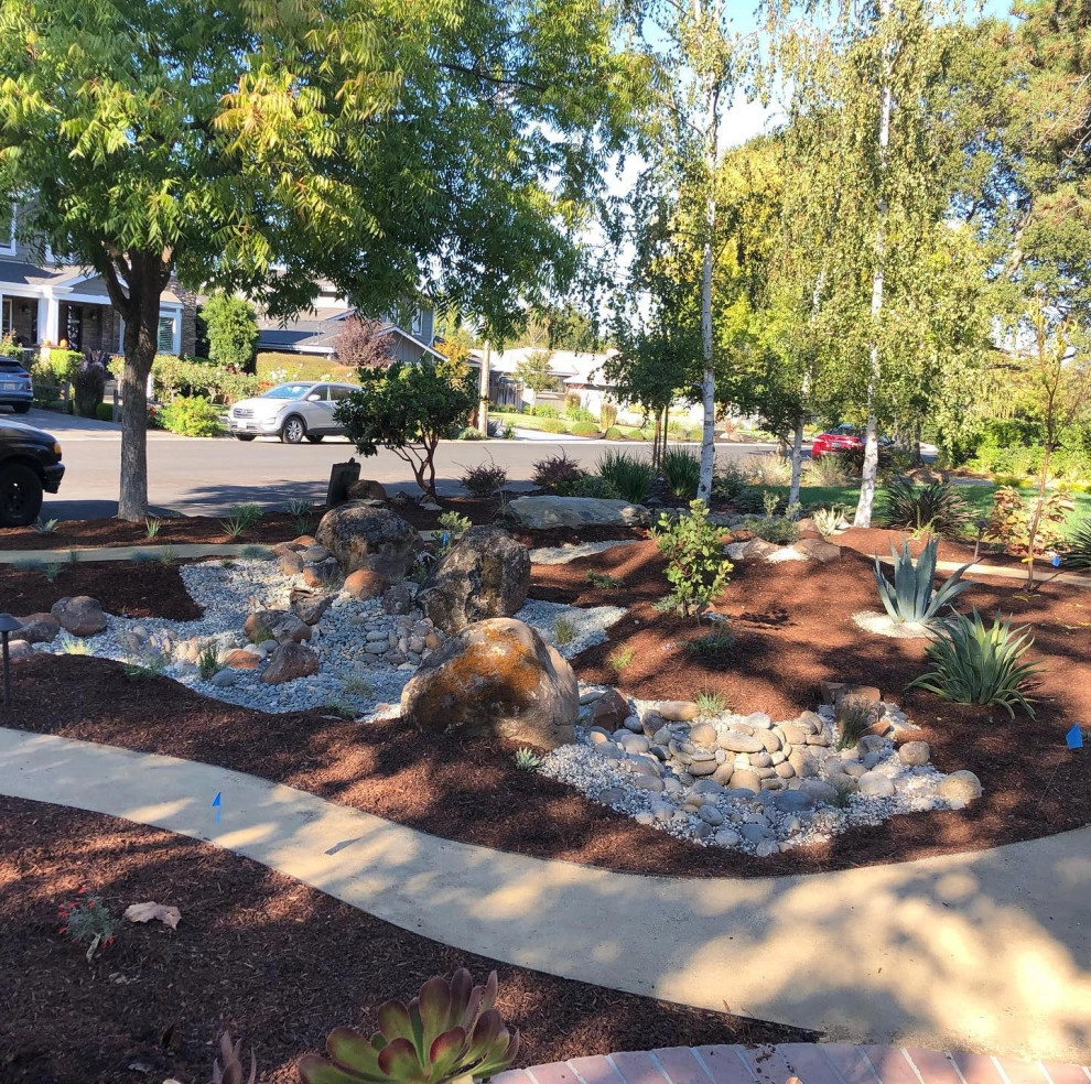 Featured Projects by Bay Maples Wild California Gardens - Photo 19