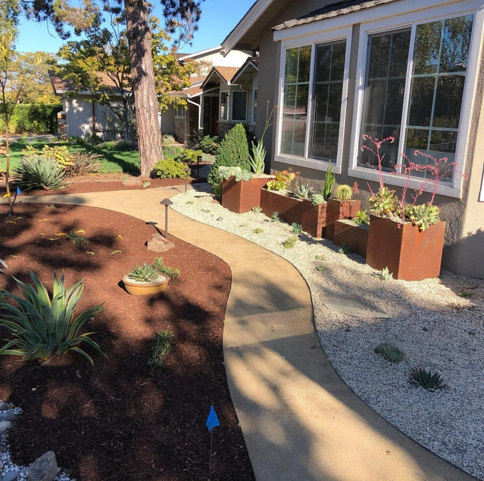 Featured Projects by Bay Maples Wild California Gardens - Photo 4