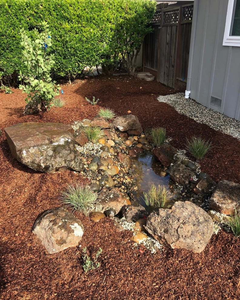 Featured Projects by Bay Maples Wild California Gardens - Photo 5