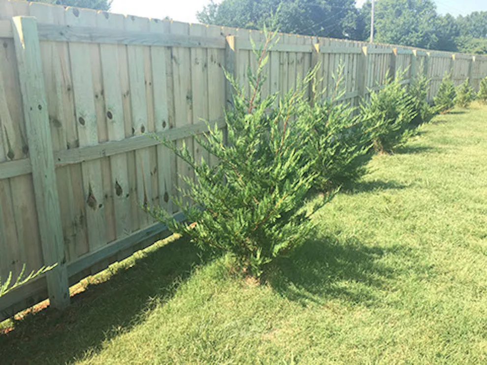 Foothills Fence Company - Photo 13