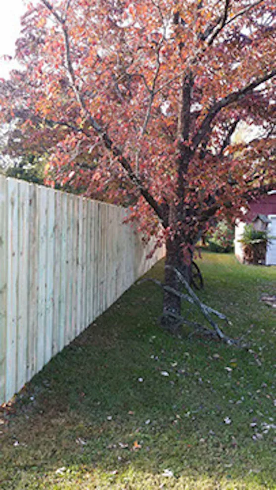 Foothills Fence Company - Photo 11