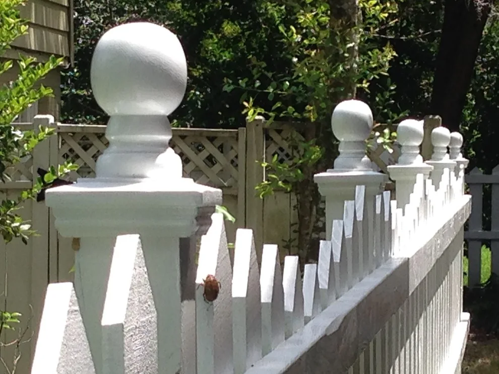 Fenced Up - Photo 2