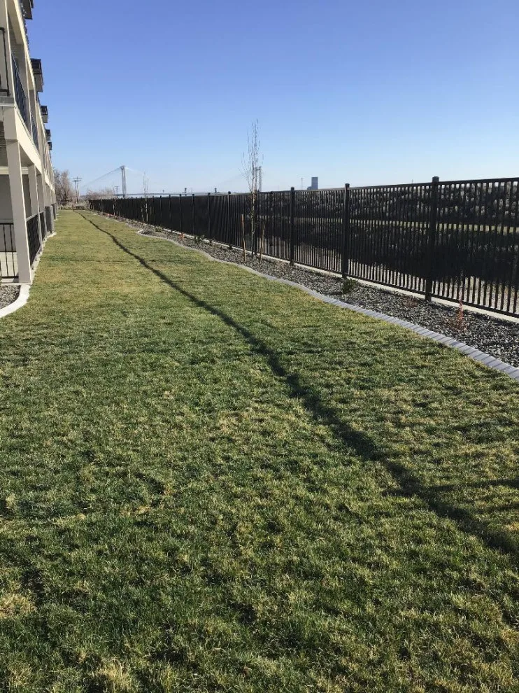 Balustrades and Decking by Architect Design Welding - Photo 7