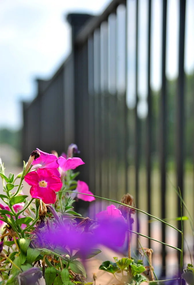 Card Platforms by Penn Fencing Inc - Photo 30