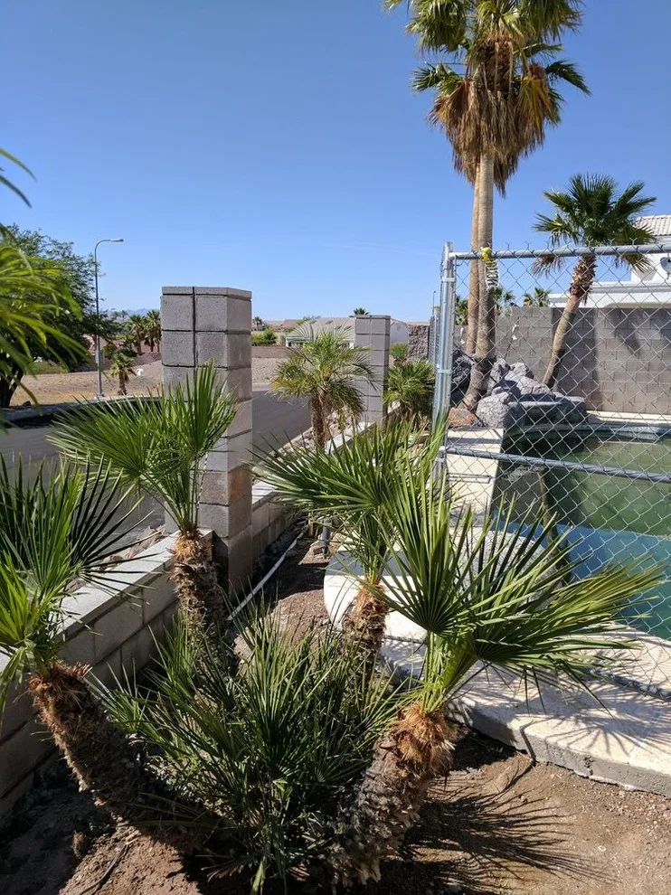 Eagle Masonry & Fence Inc - Photo 12