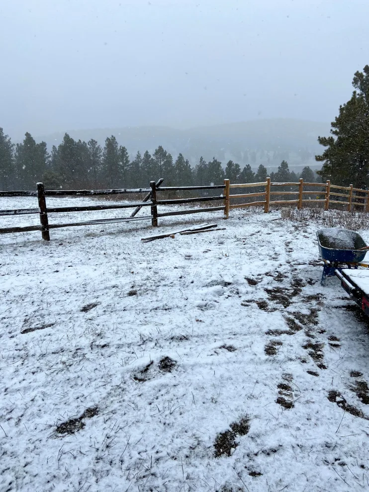 Agricultural Barrier by Sierra Alta Fence, LLC - Photo 8