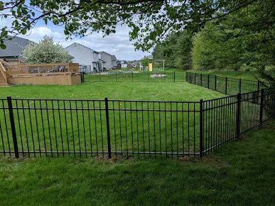 Diamond Homescapes - Photo 7