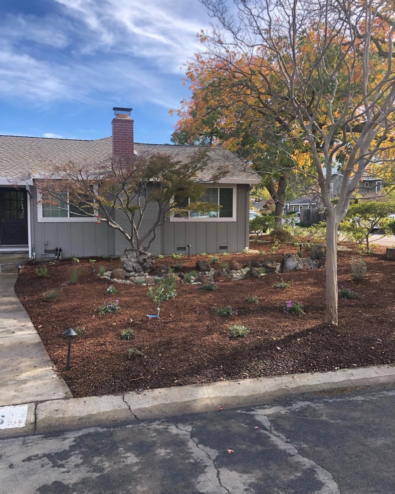 Featured Projects by Bay Maples Wild California Gardens - Photo 41