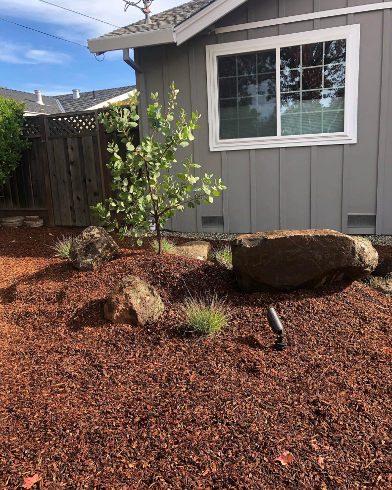 Featured Projects by Bay Maples Wild California Gardens - Photo 24