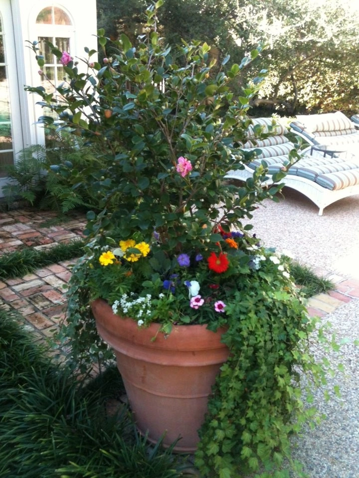 Landscape Design by Brumley Gardens - Photo 4