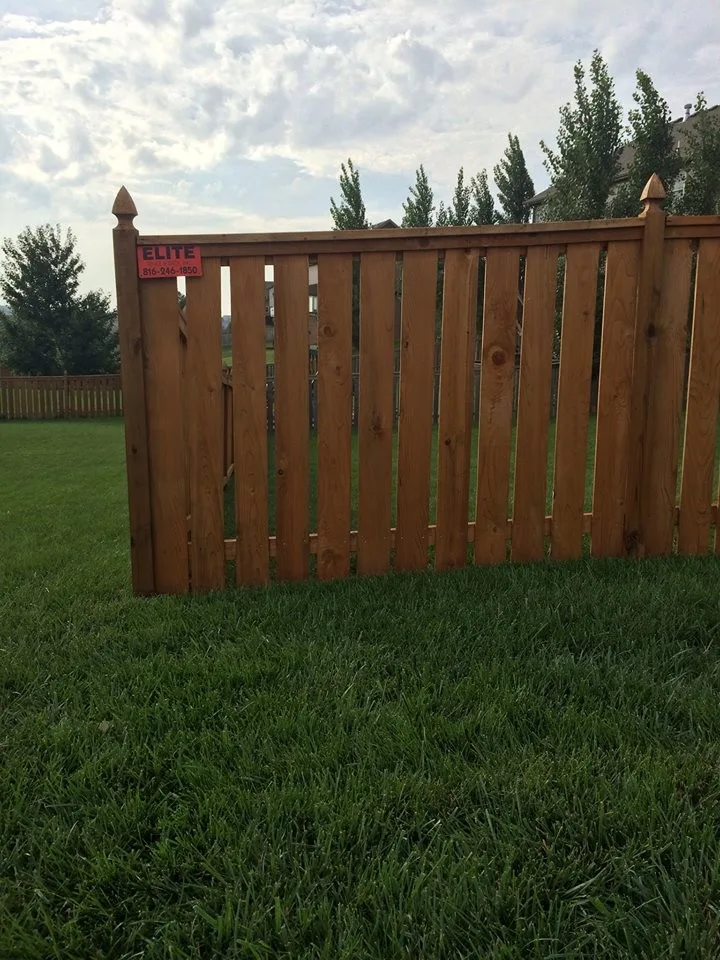 Elite Fence - Photo 4