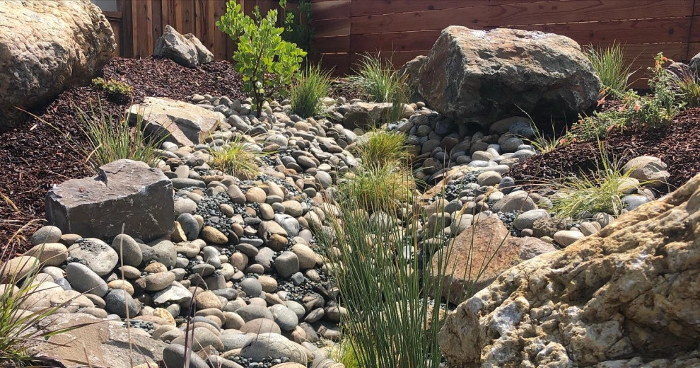 Featured Projects by Bay Maples Wild California Gardens - Photo 37