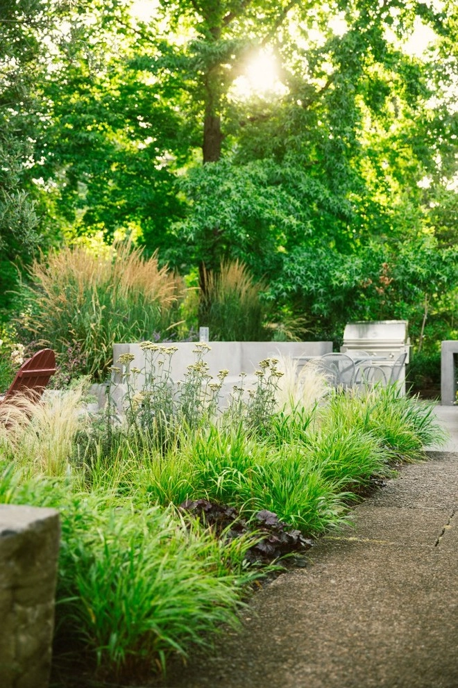 Lush Contemporary by The Figure Ground Studio, LLC - Photo 3