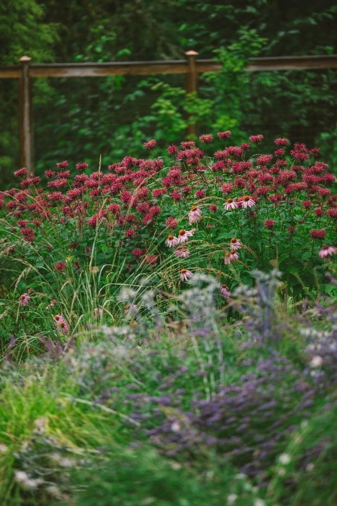 Audubon Certified Backyard Habitat by The Figure Ground Studio, LLC - Photo 6