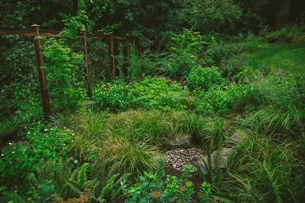 Audubon Certified Backyard Habitat by The Figure Ground Studio, LLC - Photo 20