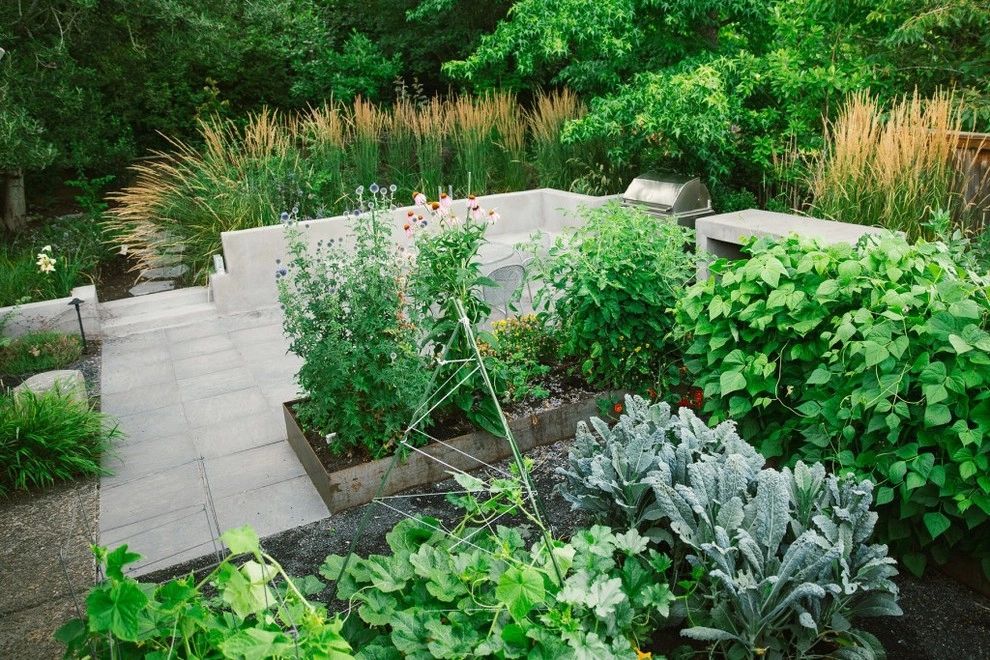 Lush Contemporary by The Figure Ground Studio, LLC - Photo 6