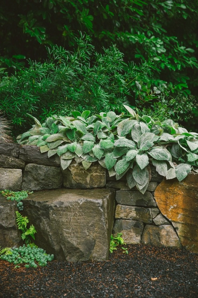 Audubon Certified Backyard Habitat by The Figure Ground Studio, LLC - Photo 15