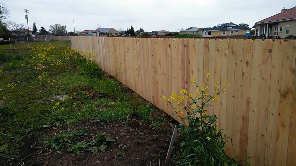 Ivan's Lavacap Project by Cox Fencing - Photo 23