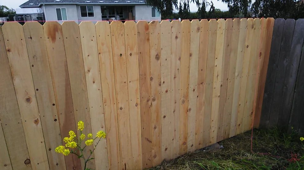 Ivan's Lavacap Project by Cox Fencing - Photo 6
