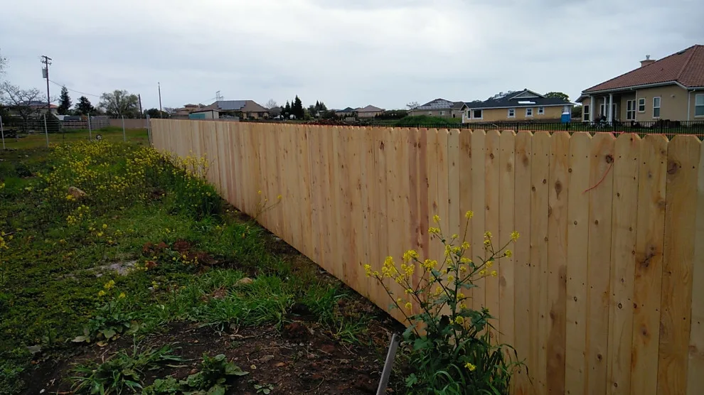 Ivan's Lavacap Project by Cox Fencing - Photo 16