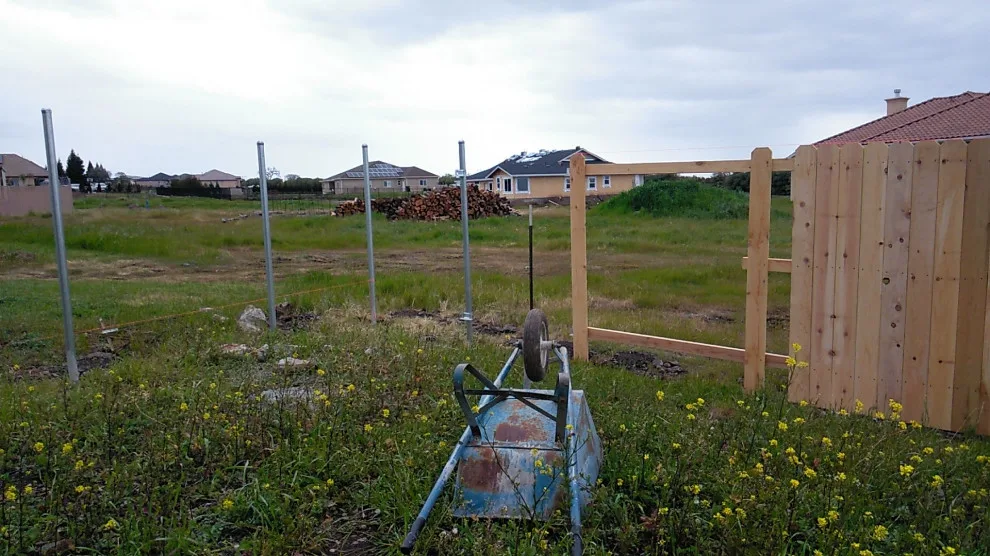 Ivan's Lavacap Project by Cox Fencing - Photo 5